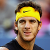 Juan Martin Del Potro Image